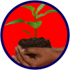 Agricultural Loan